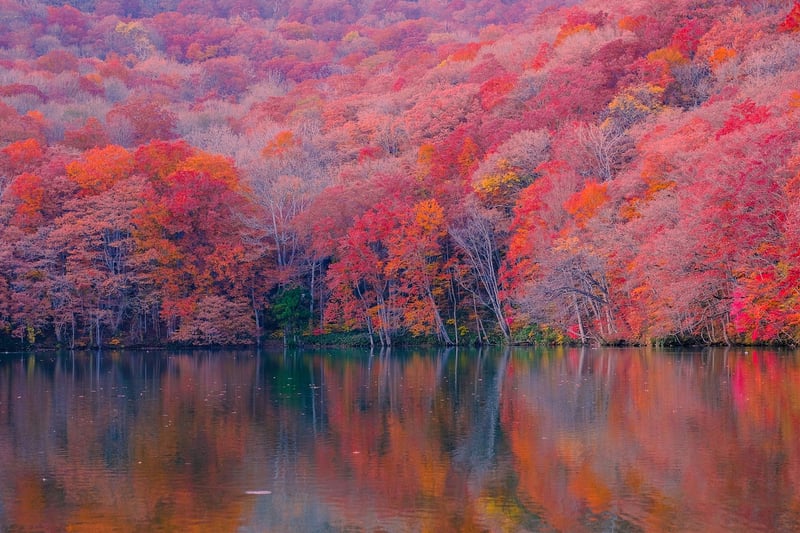 Autumn Cottage