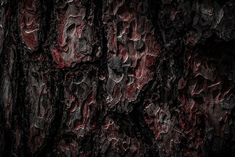 Wood Logs